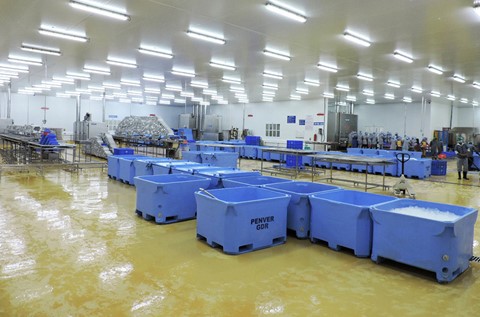 Flowcrete Coats Penver Products’ Hi-Tech Seafood Processing Plant