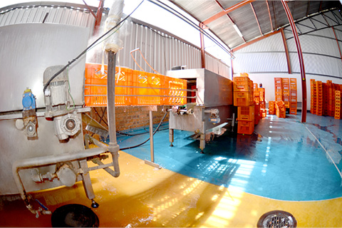 Flooring Considerations For The Dairy Industry