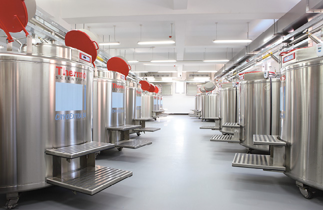 Two Flowcrete Systems Qualify as Cleanroom Suitable Materials