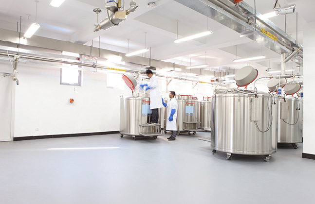 Two Flowcrete Systems Qualify as Cleanroom Suitable Materials